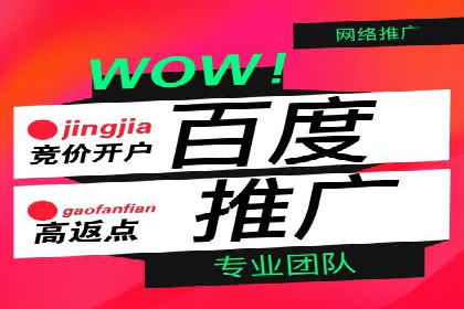 深度解析百度竞价推广公司案例：如何精准触达目标用户